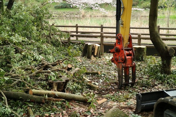Expert en entretien de parc forestier, Vichy, ETS Raturat Bois