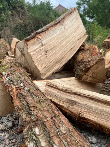 Vente bois de chauffage sec pour cet hiver à Vichy, Vichy, Établissement Raturat Bois