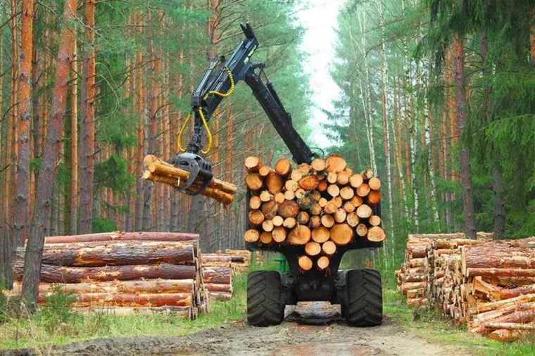 Combien de temps pour le débardage d'un hectare avec tracteur forestier ?, Vichy, Établissement Raturat Bois