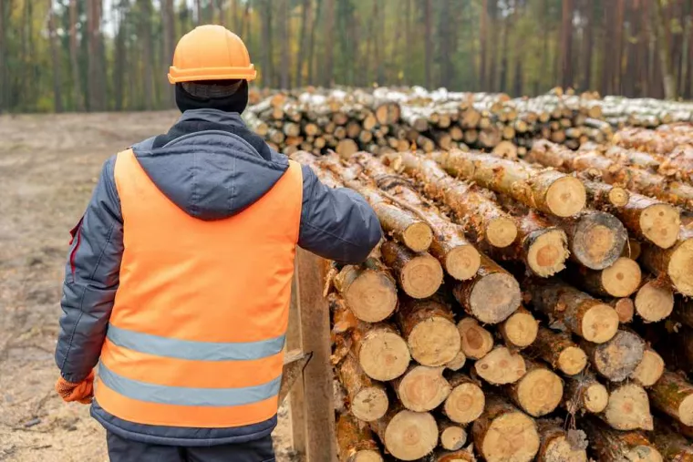 Trouver un exploitant agréé pour acheter du bois sur pied dans une propriété privée, Vichy, Établissement Raturat Bois